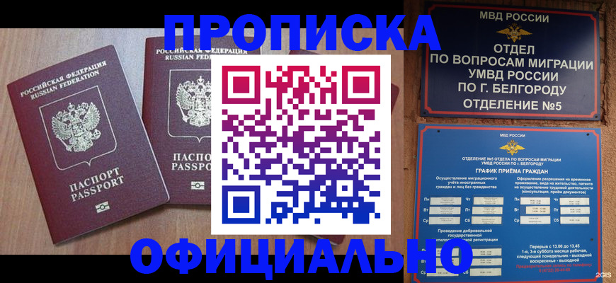 найти адрес прописки в Амурской области